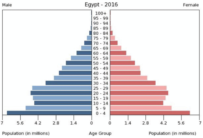 Pyramid model of Egypt's population